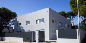 Novo Centro acolhe pessoas em situação sem-abrigo e seus animais de companhia, em Cascais